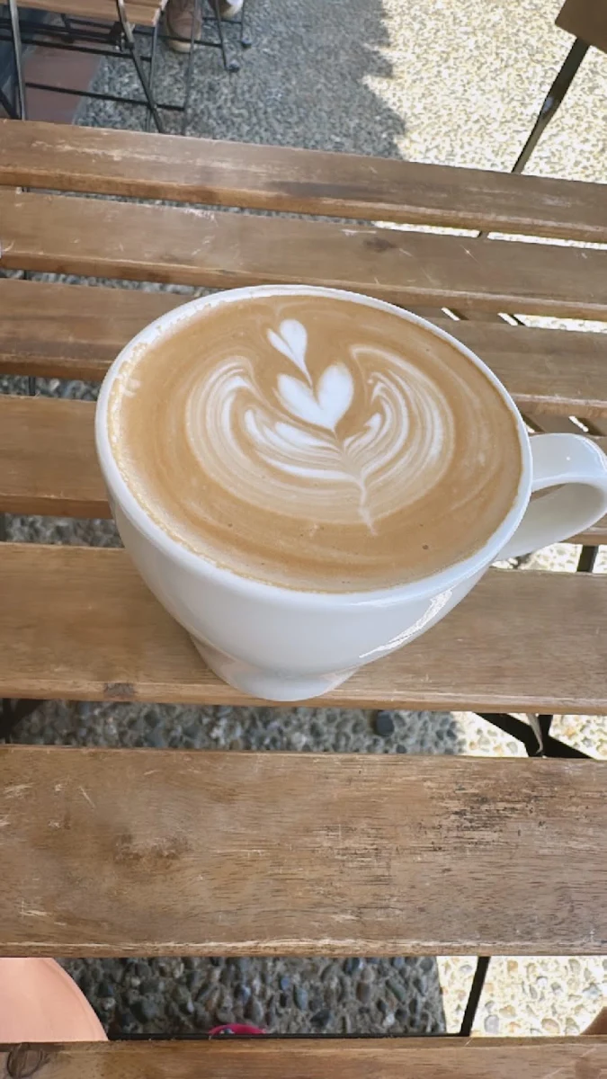 Dark Chocolate Mocha
