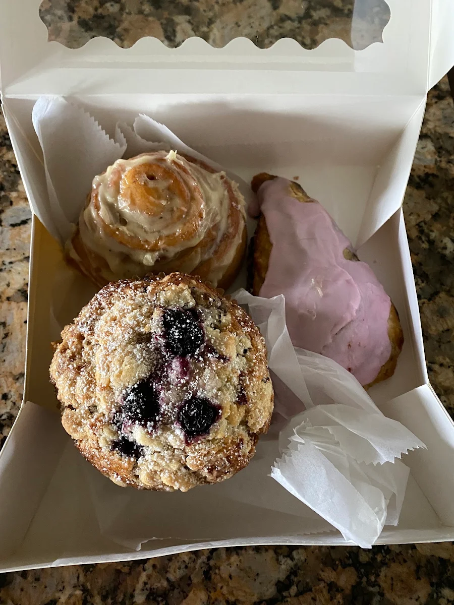 Blueberry Muffin