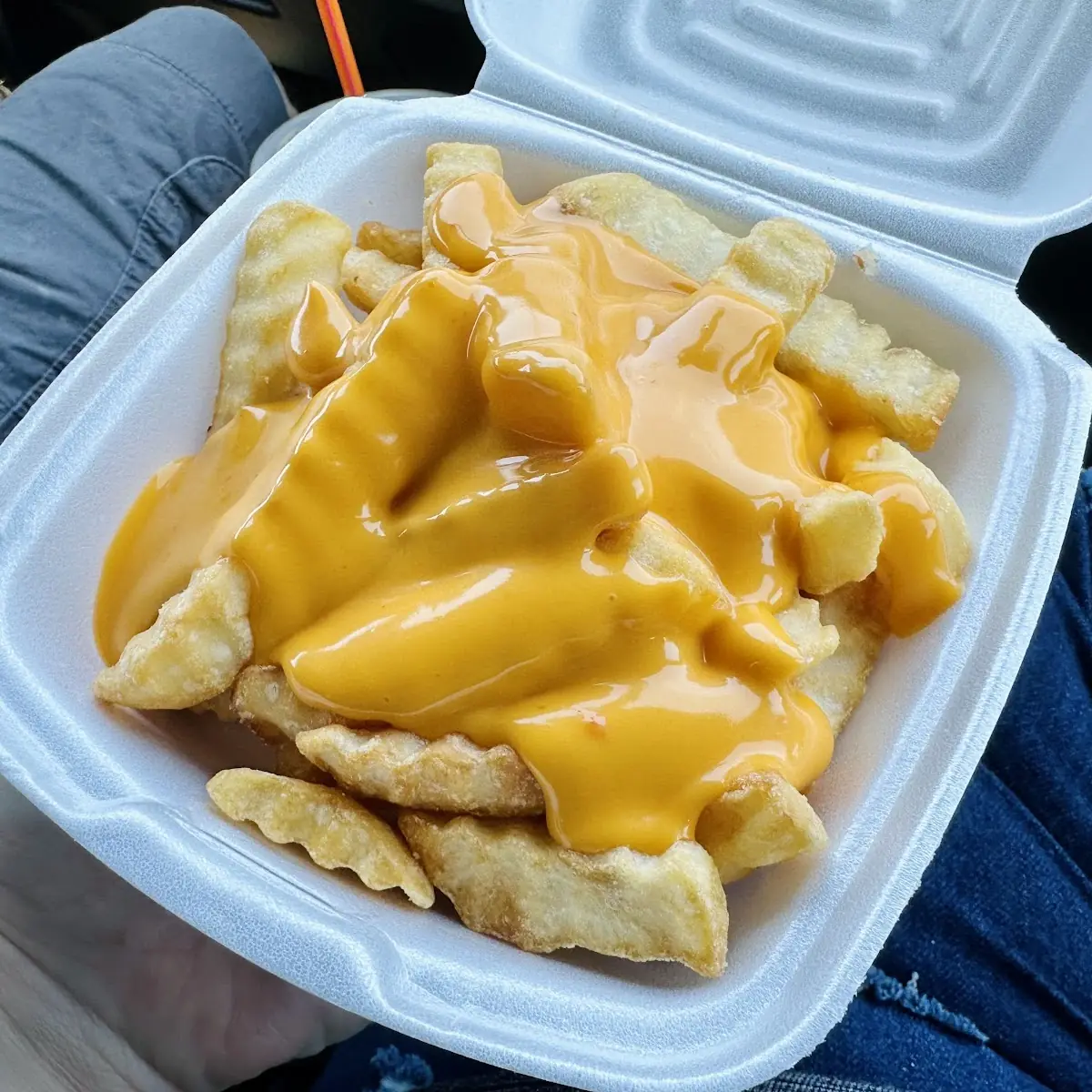 Cheese Fries