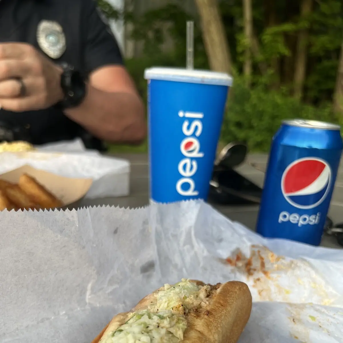 Hoagie Steak or Chicken