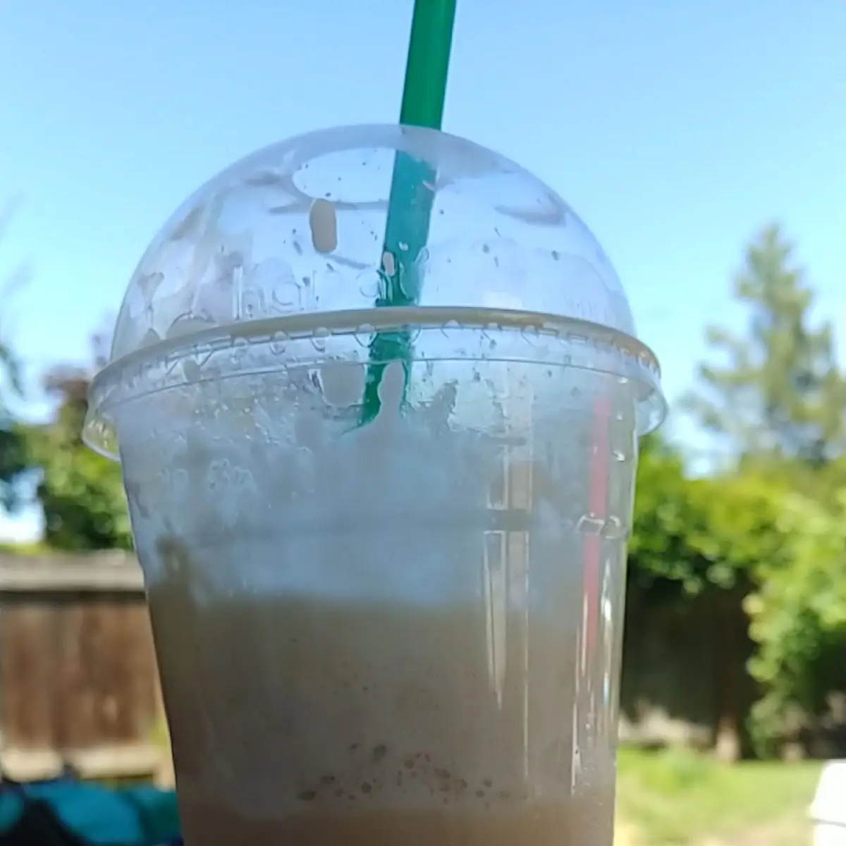 Chai Latte (16 Oz)