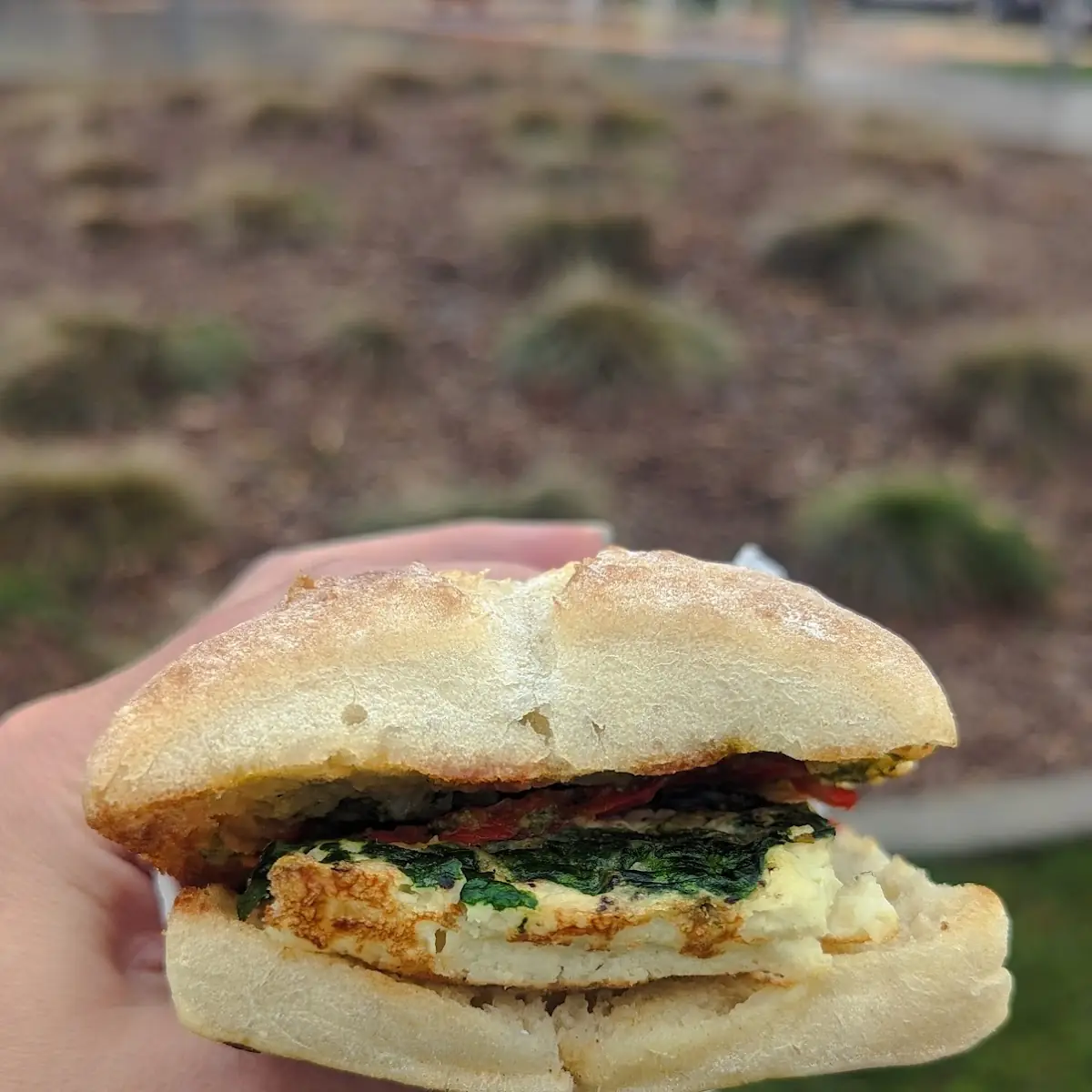 Egg White Ciabatta Sandwich
