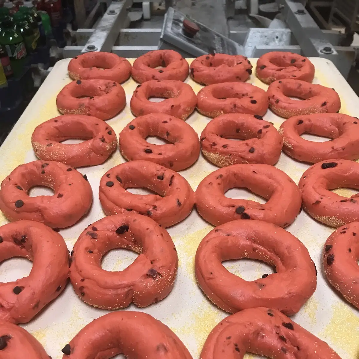 Doughnut