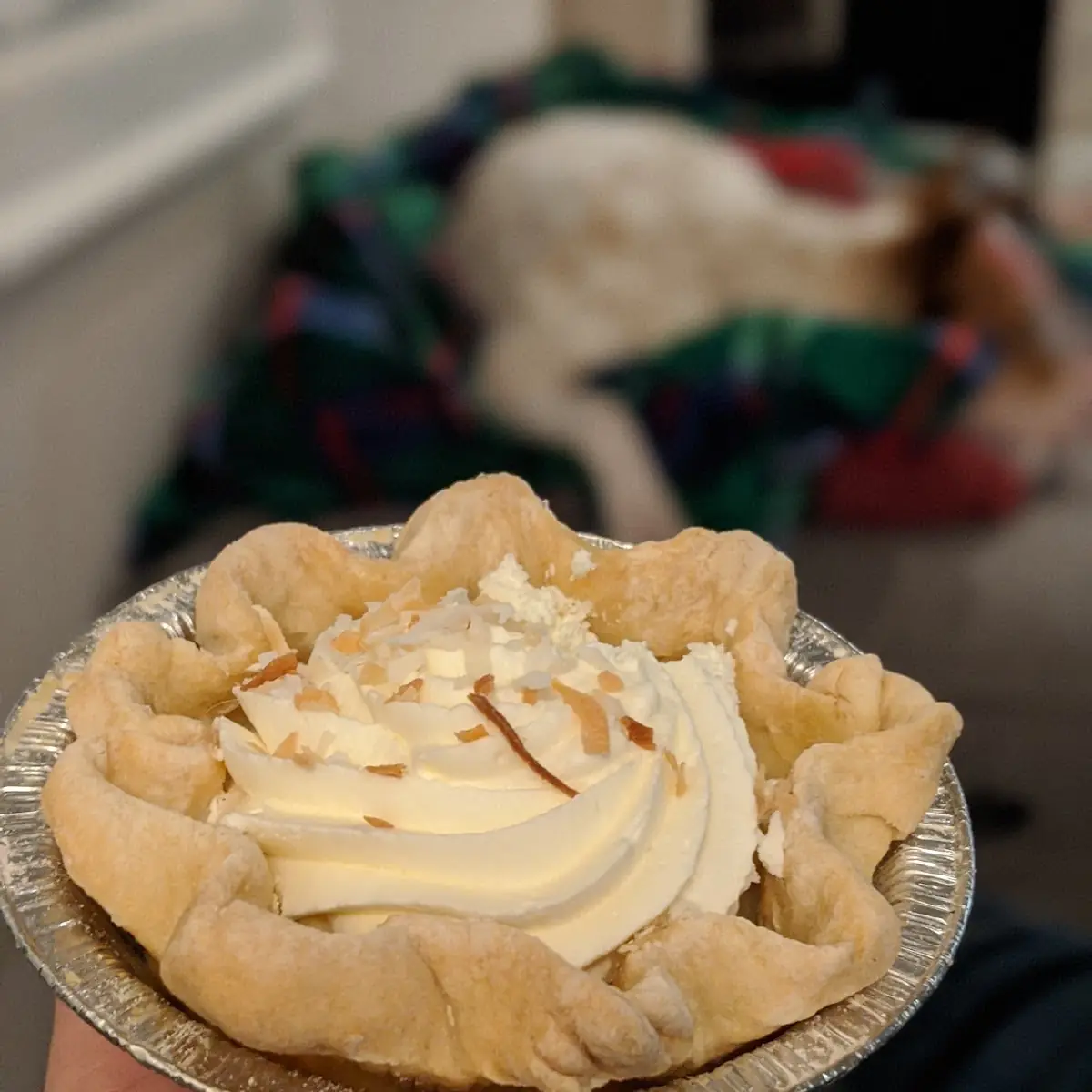 Toasted Coconut Cream Pie