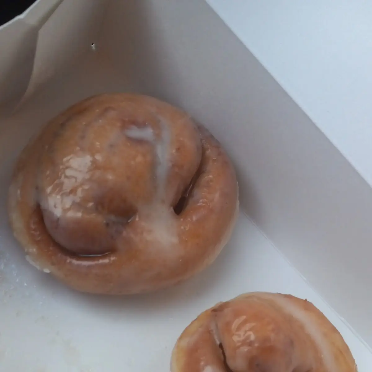 Cinnamon Bun