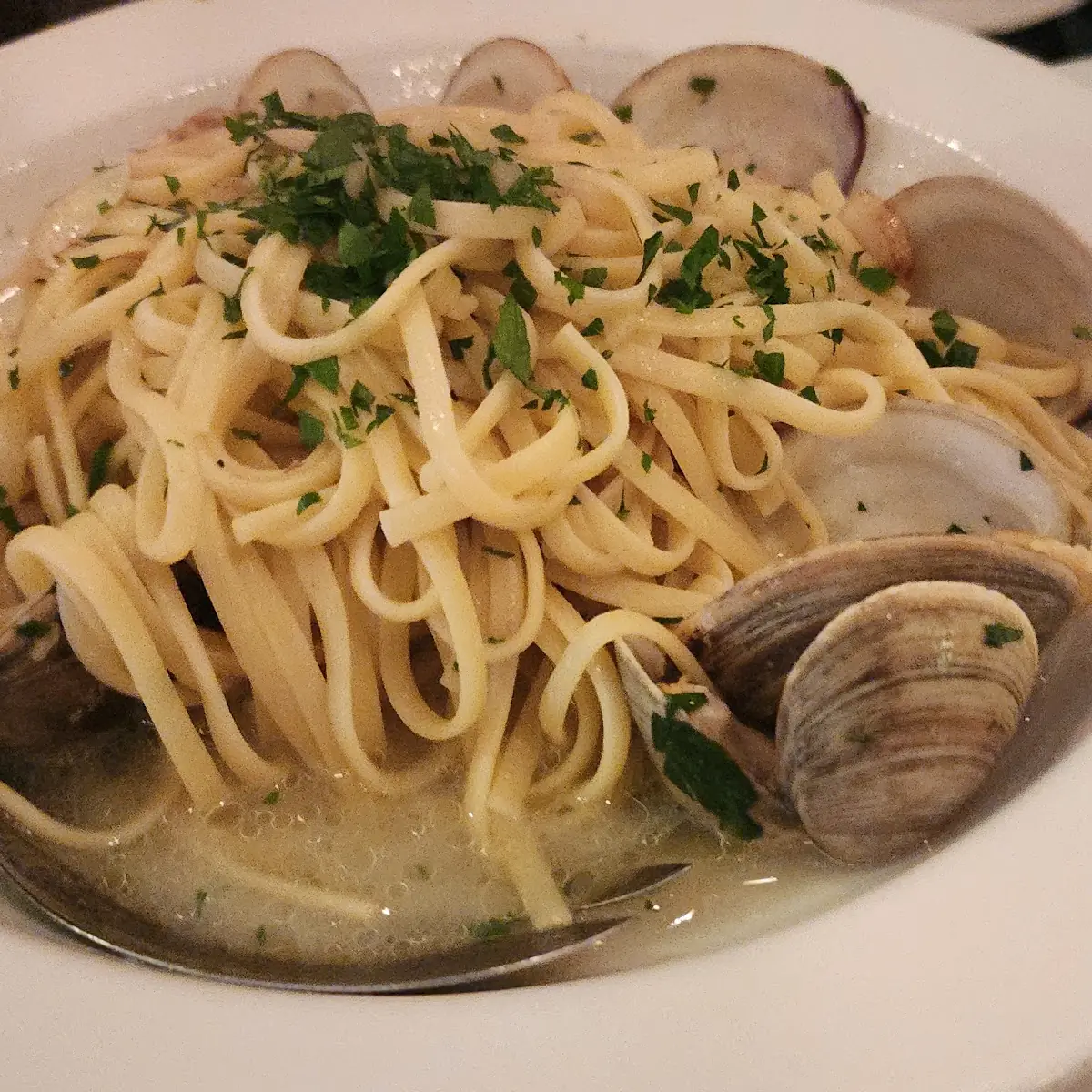 Ling Vongole White