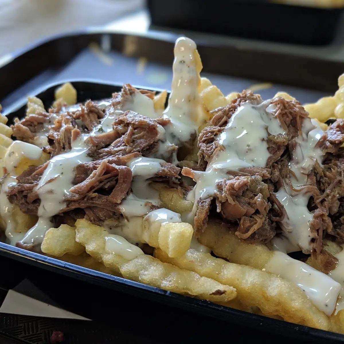 Ranch Fries with Pulled Pork