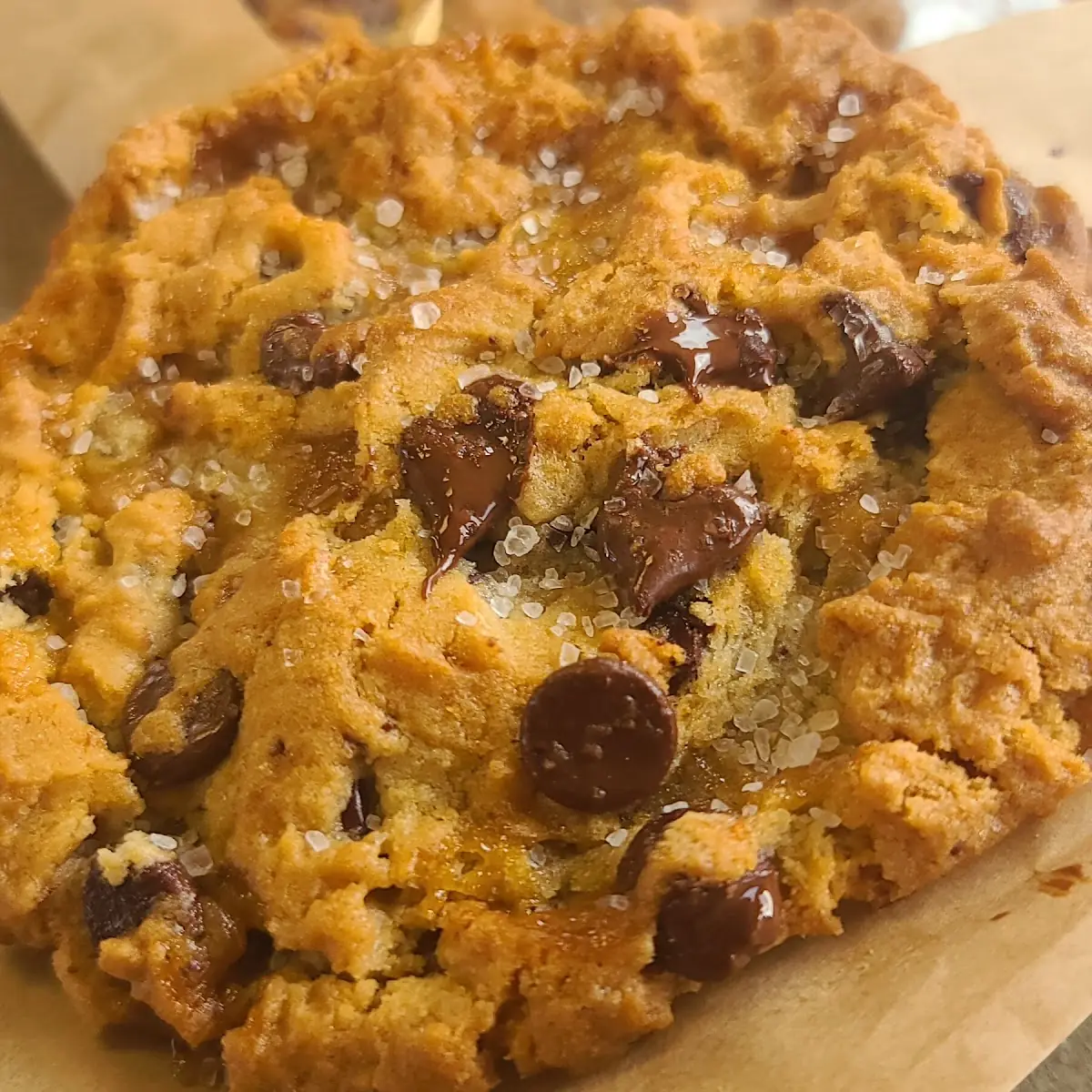 Salted Caramel & Chocolate Cookie