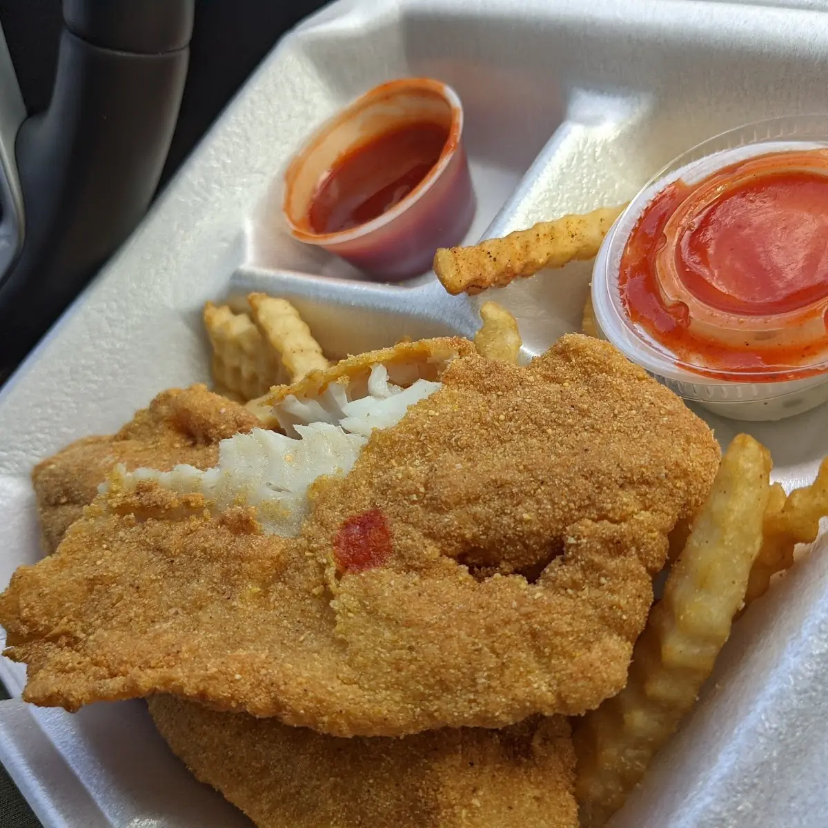 Catfish Fillet
