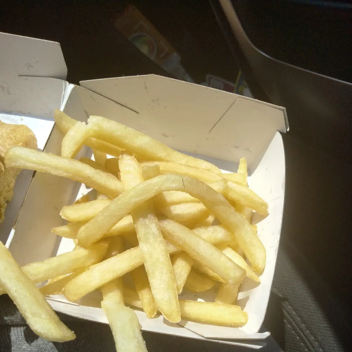 World Famous Fries