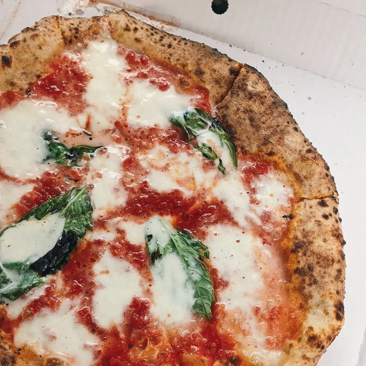 Margarita Pizza