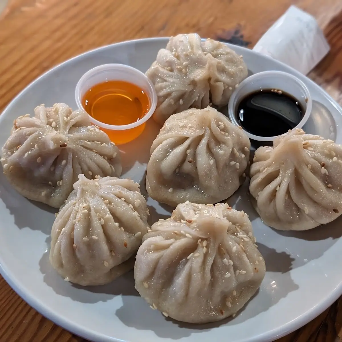 Veggie Pan Fried Dumplings