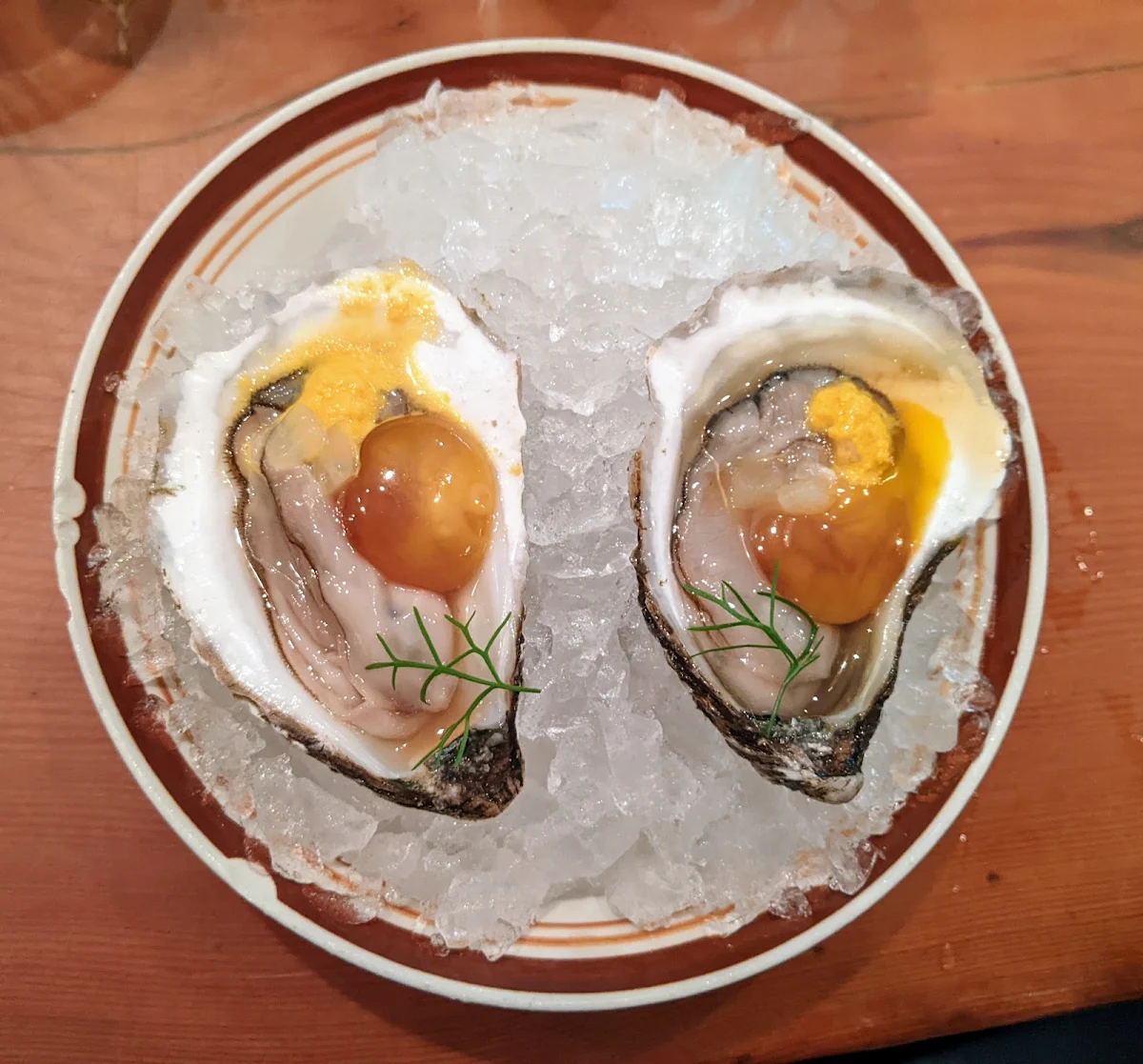 Oysters 12