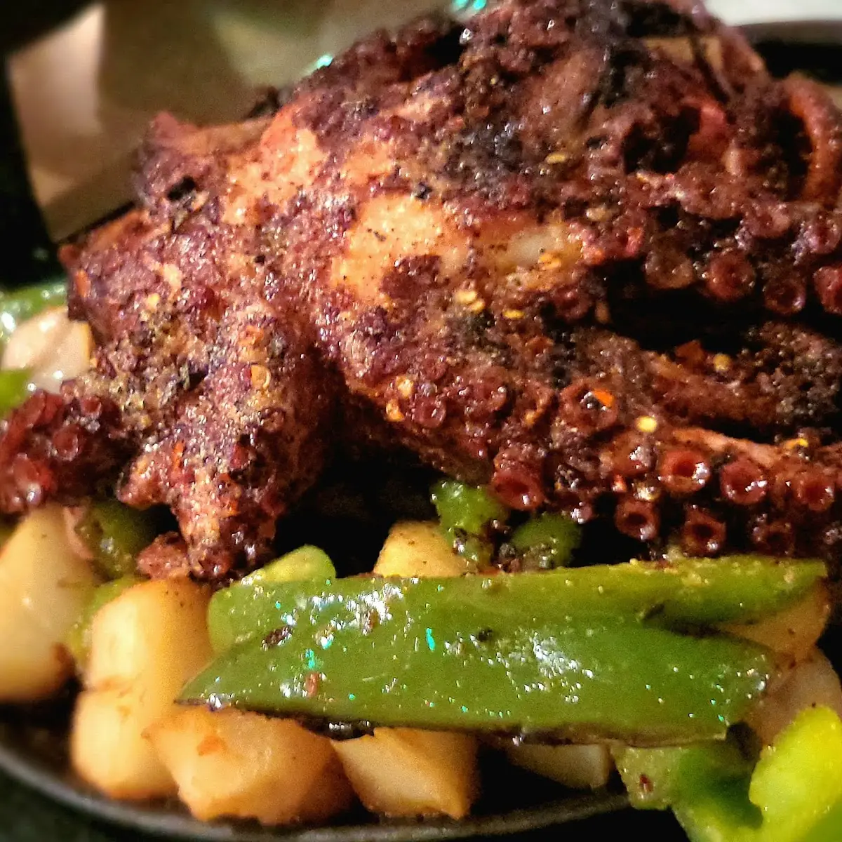 Grilled Octopus