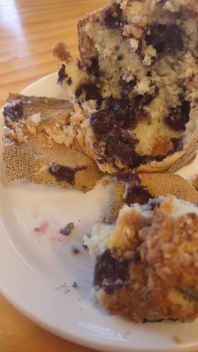 Blueberry Muffin