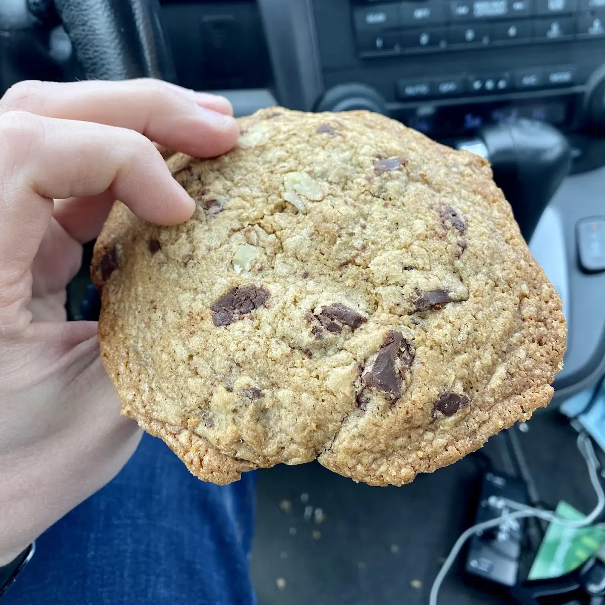 Chocolate Chip Cookie