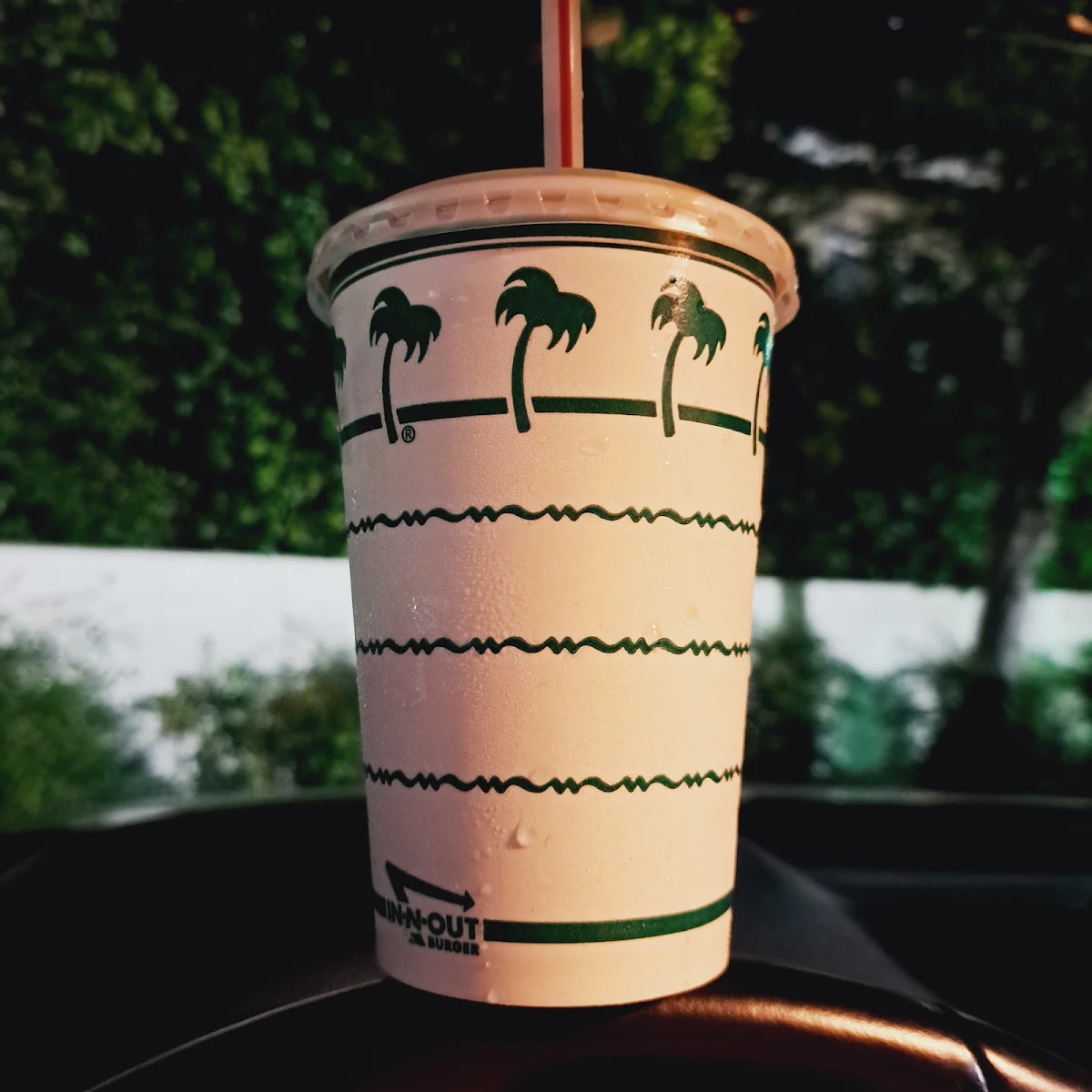 Neapolitan Shake