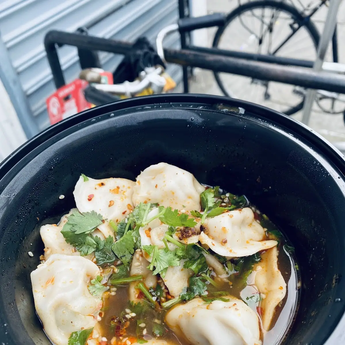 Sichuan Style Dumplings 10