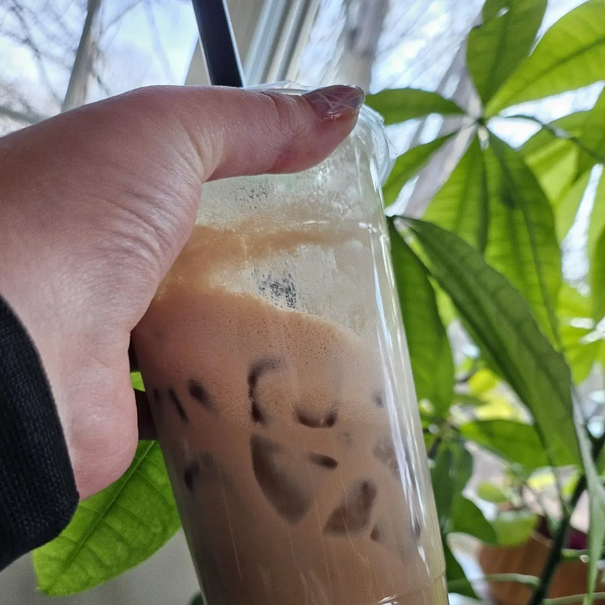 Earl Grey Brown Sugar Milk Tea