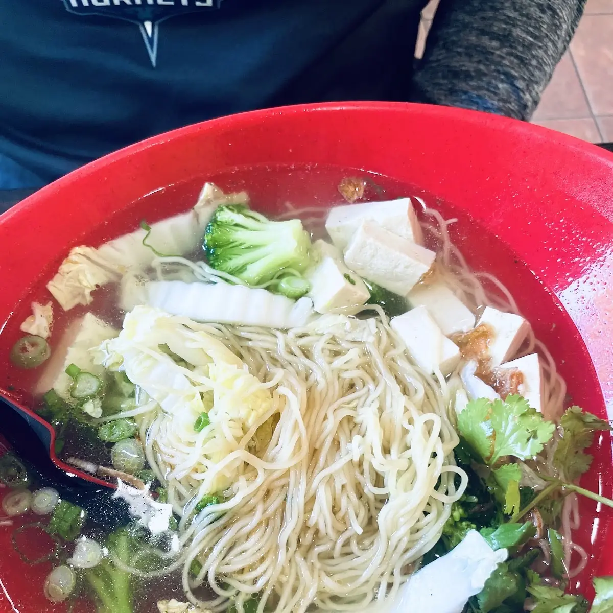 Vegetable Soup