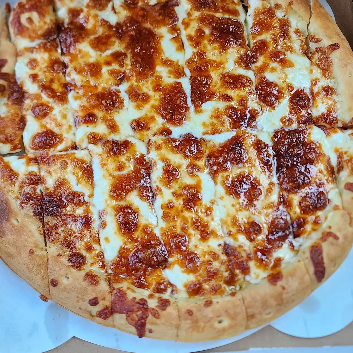 Bread Sticks with Cheese