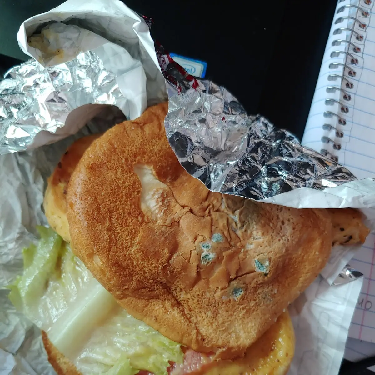 Grilled Chicken Burger