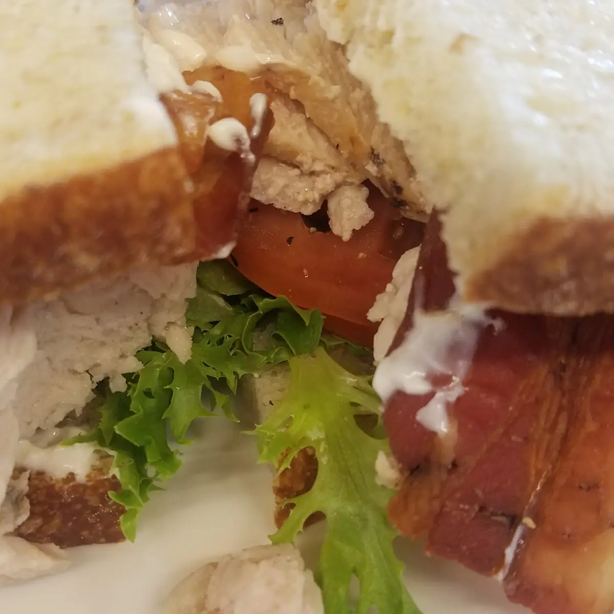 Turkey Bacon Avacado Sandwich