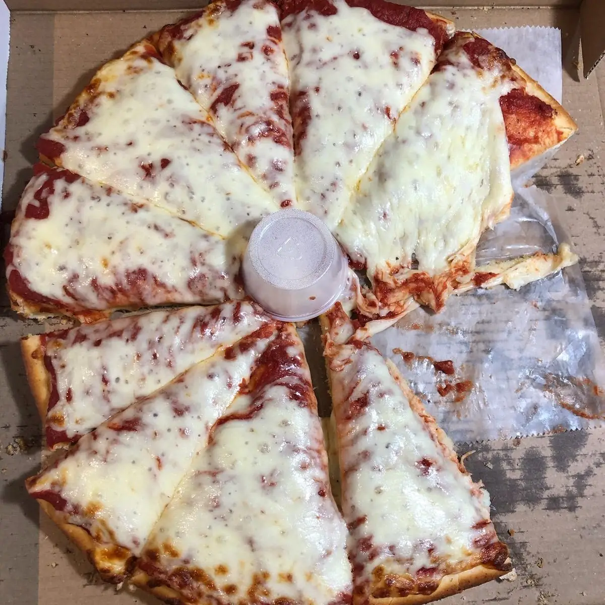 Large Extra Cheese Pizza