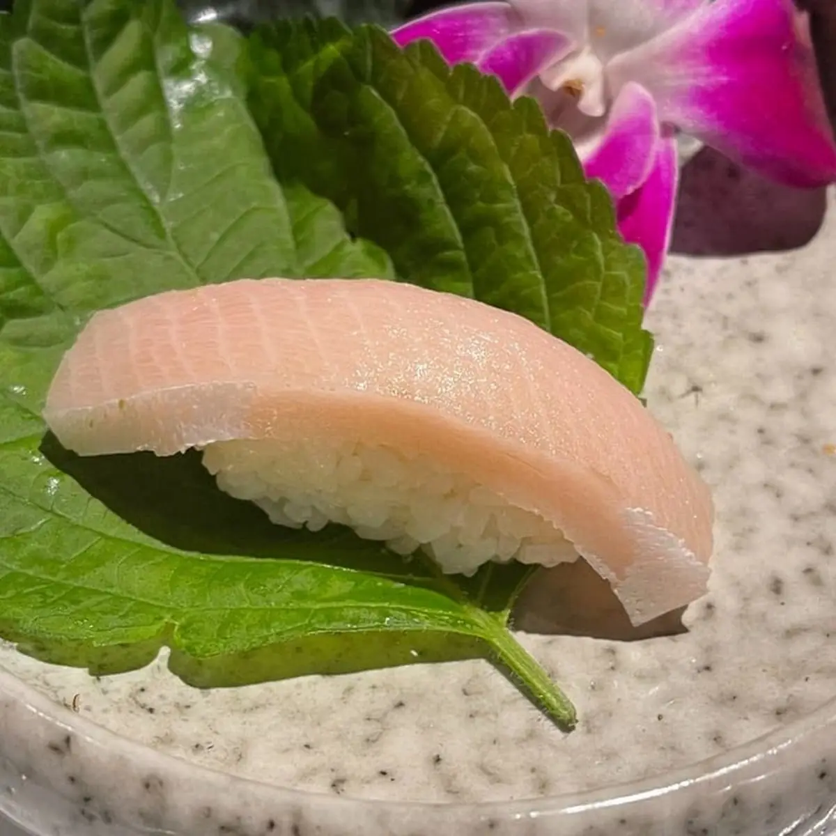 Yellow Tail Sushi