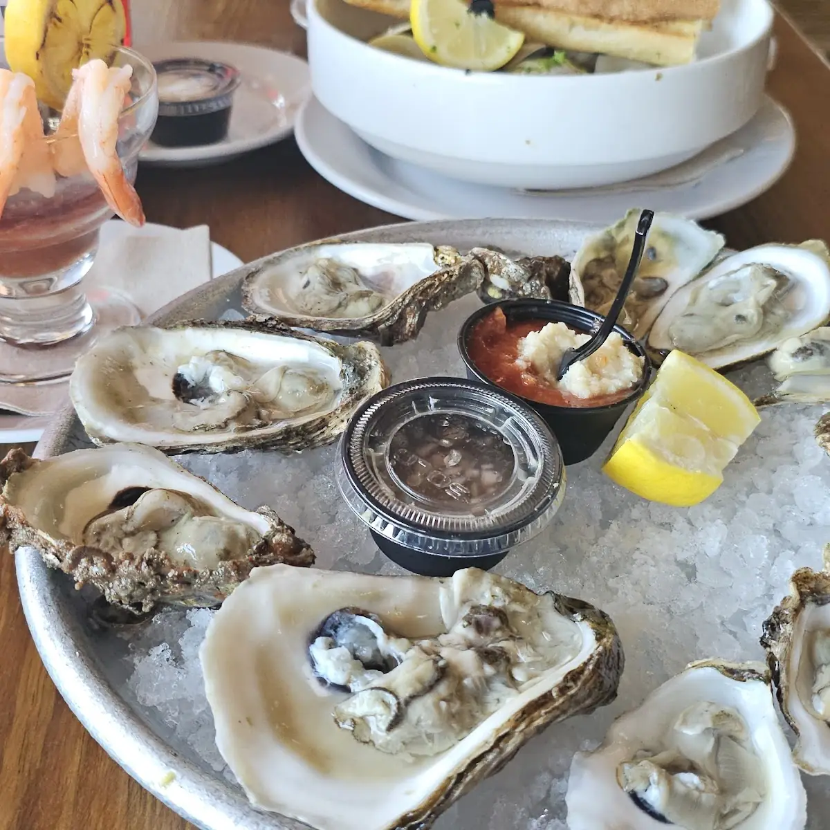 Raw Oysters on the Half Shell