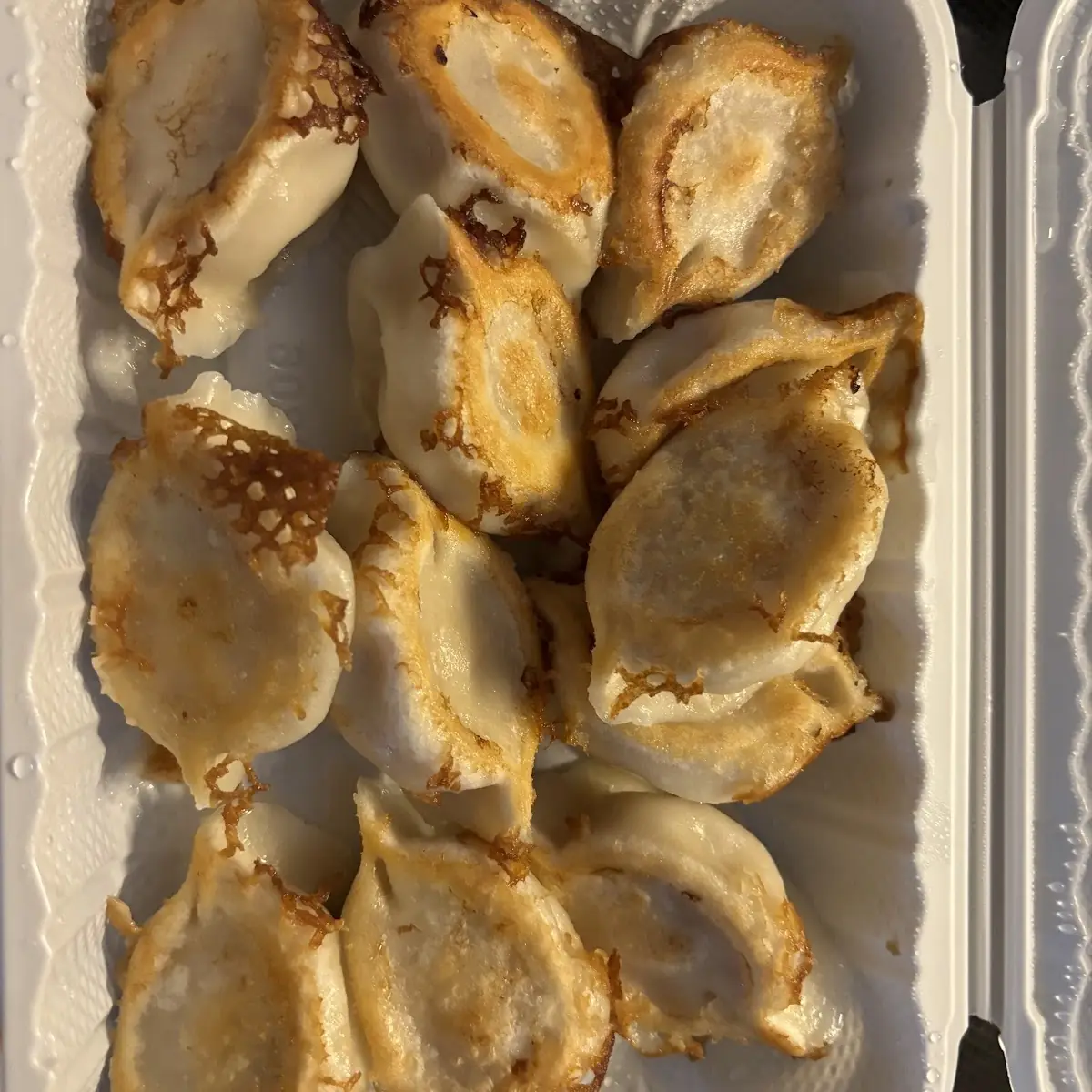 Chicken Dumplings 12