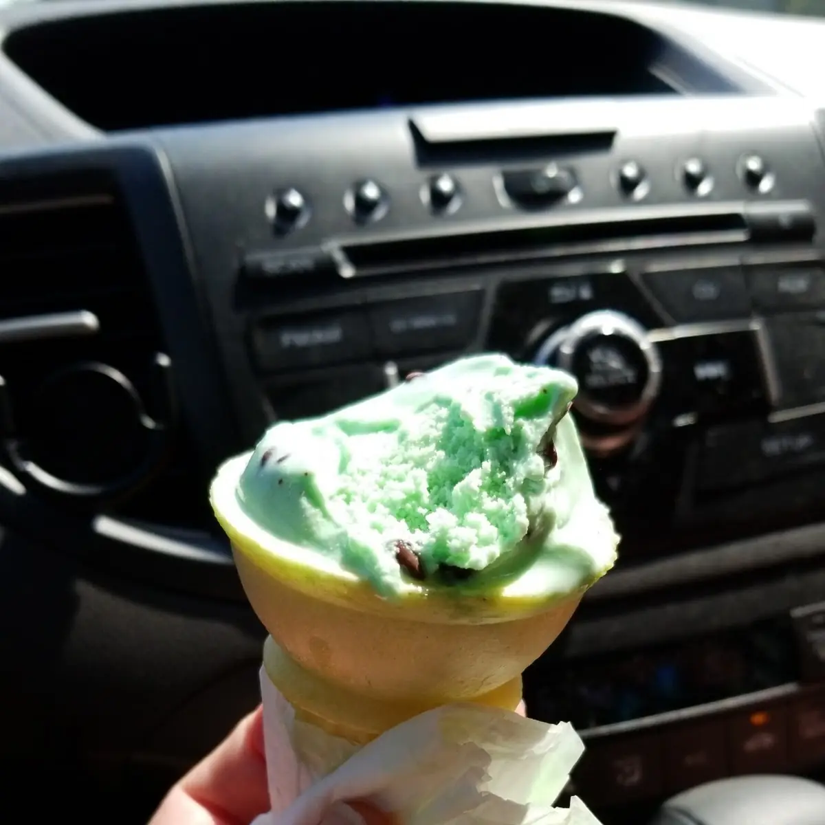 Mint Chocolate Chip Ice Cream Cone