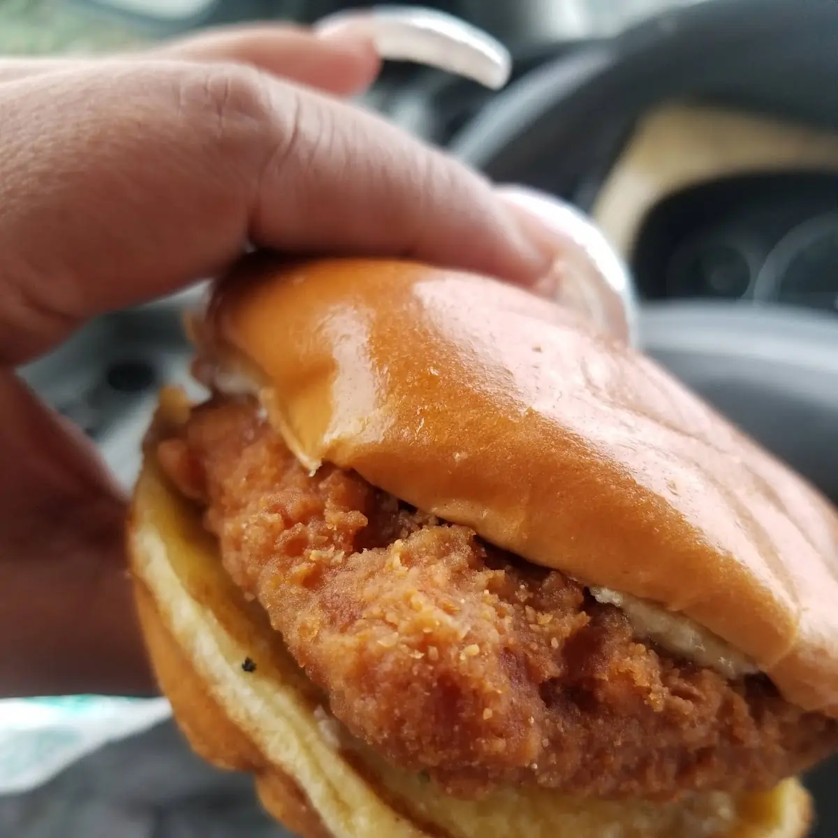 Fish Sandwich