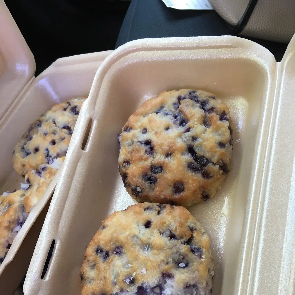 Blueberry Muffin