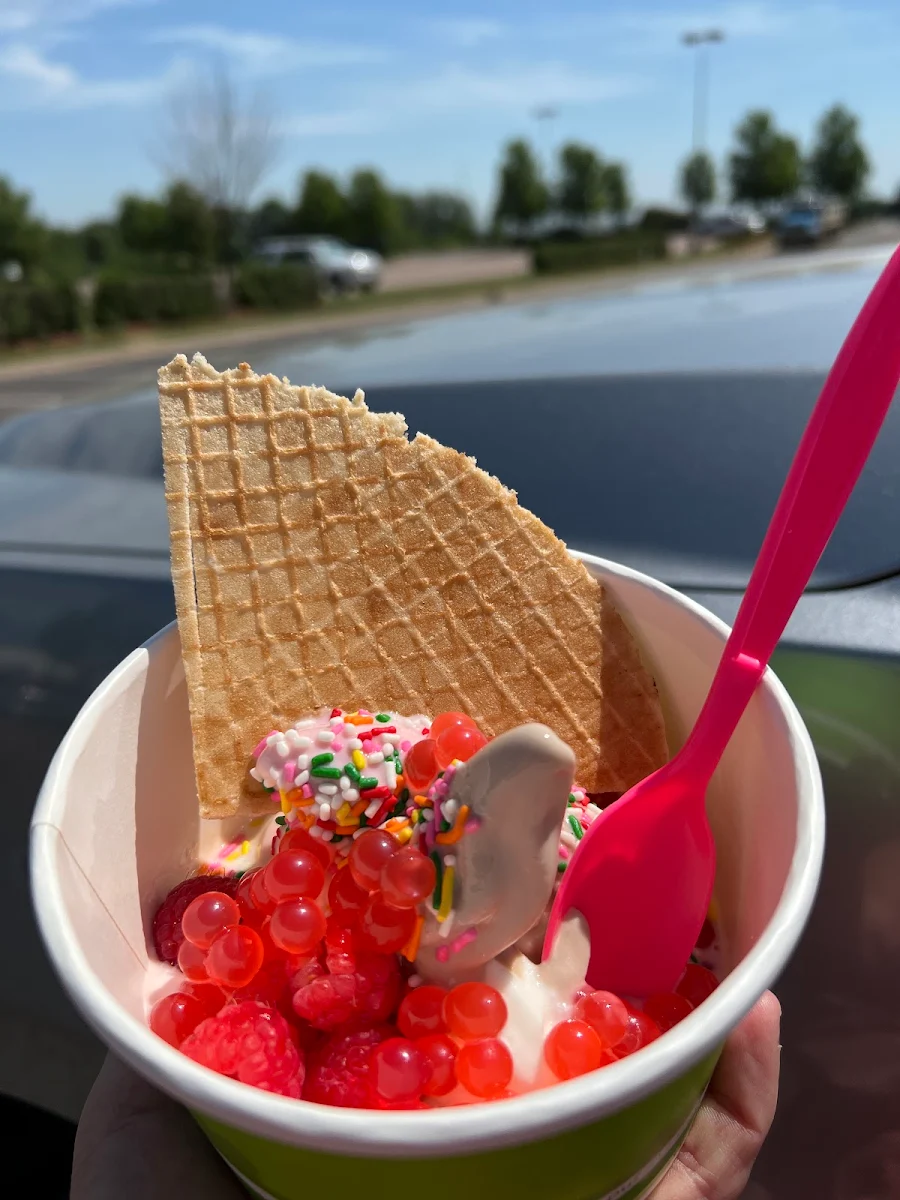 Frozen Yogurt
