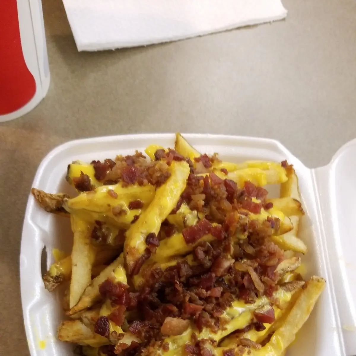 Bacon Cheese Fries