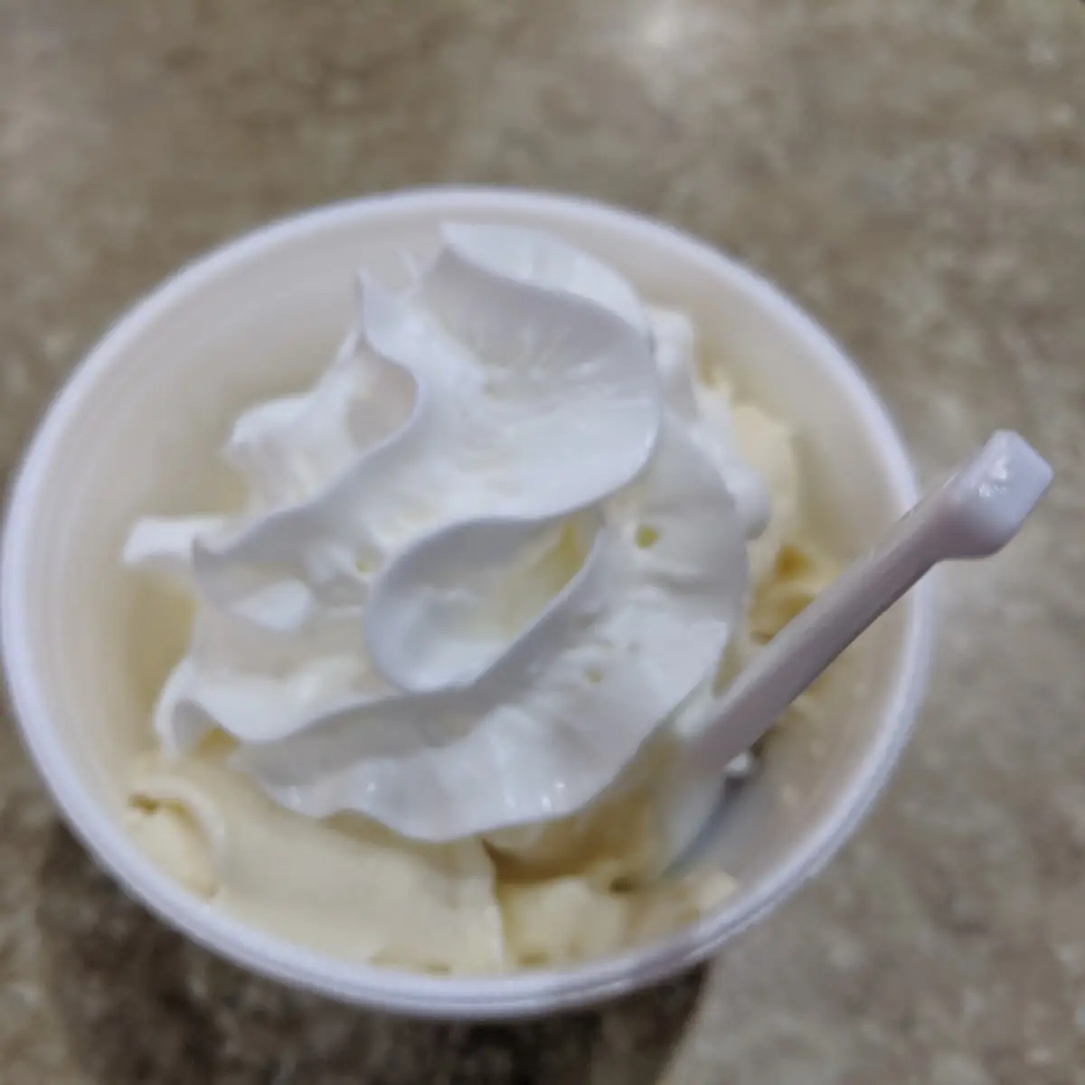 Frozen Custard Floats