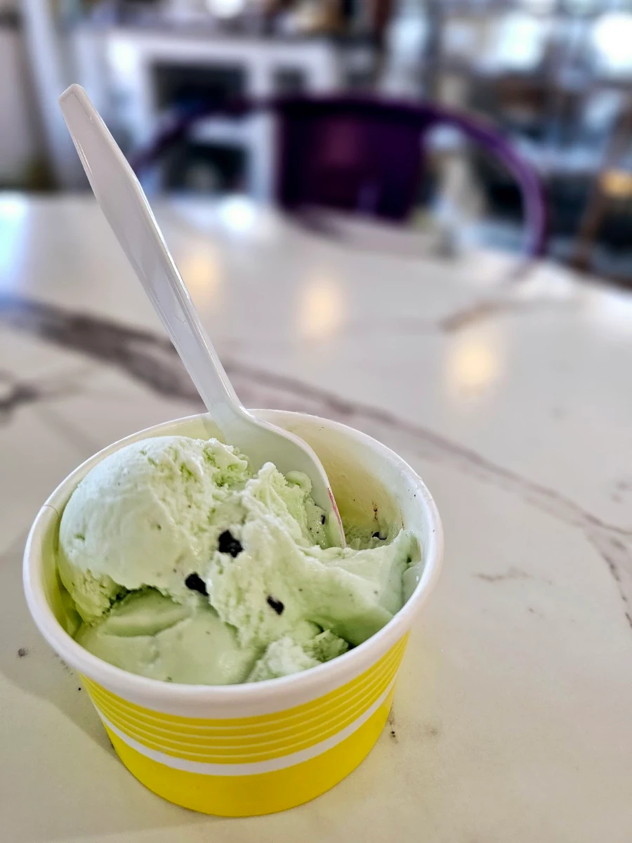 Mint Chocolate Chip
