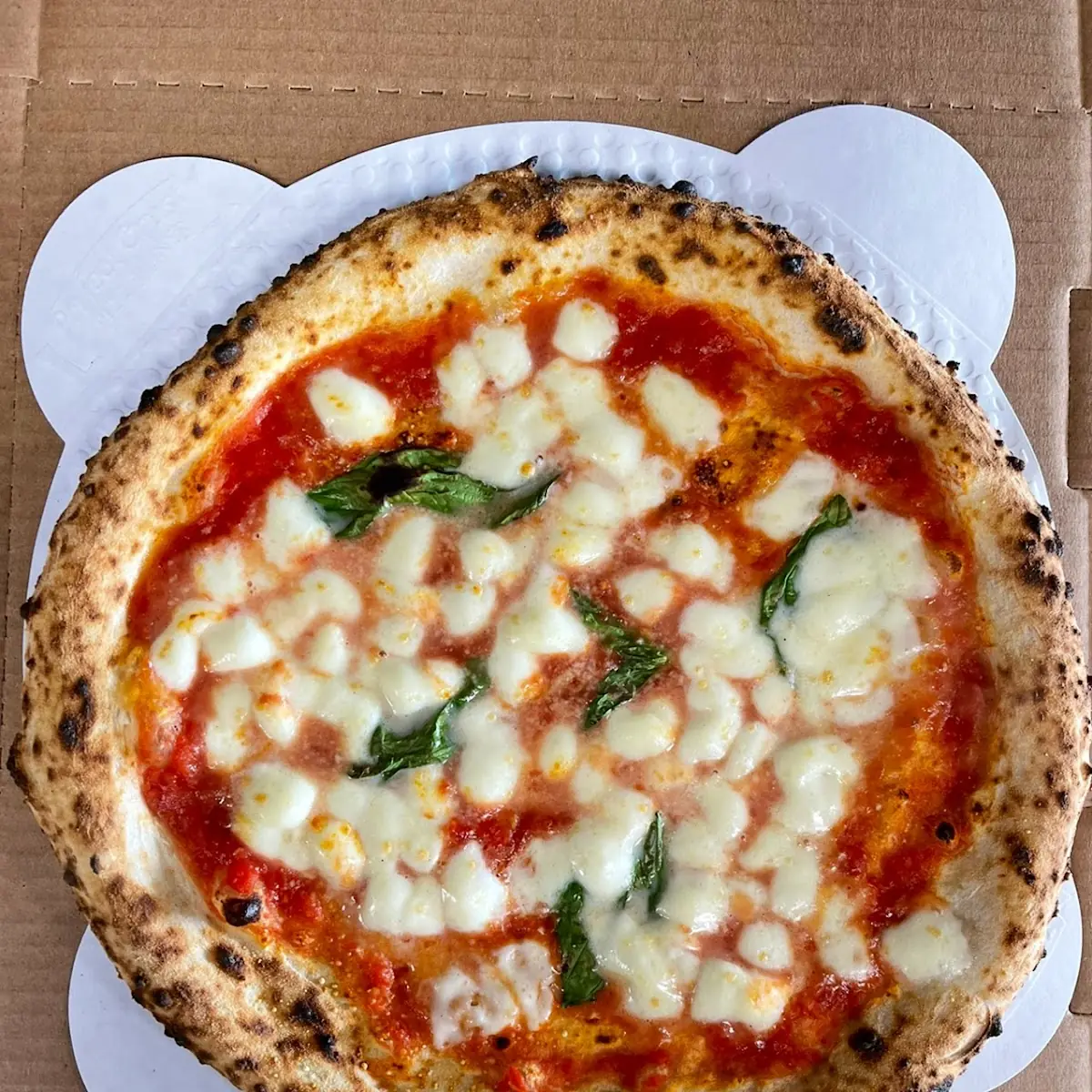 Pizza Margherita