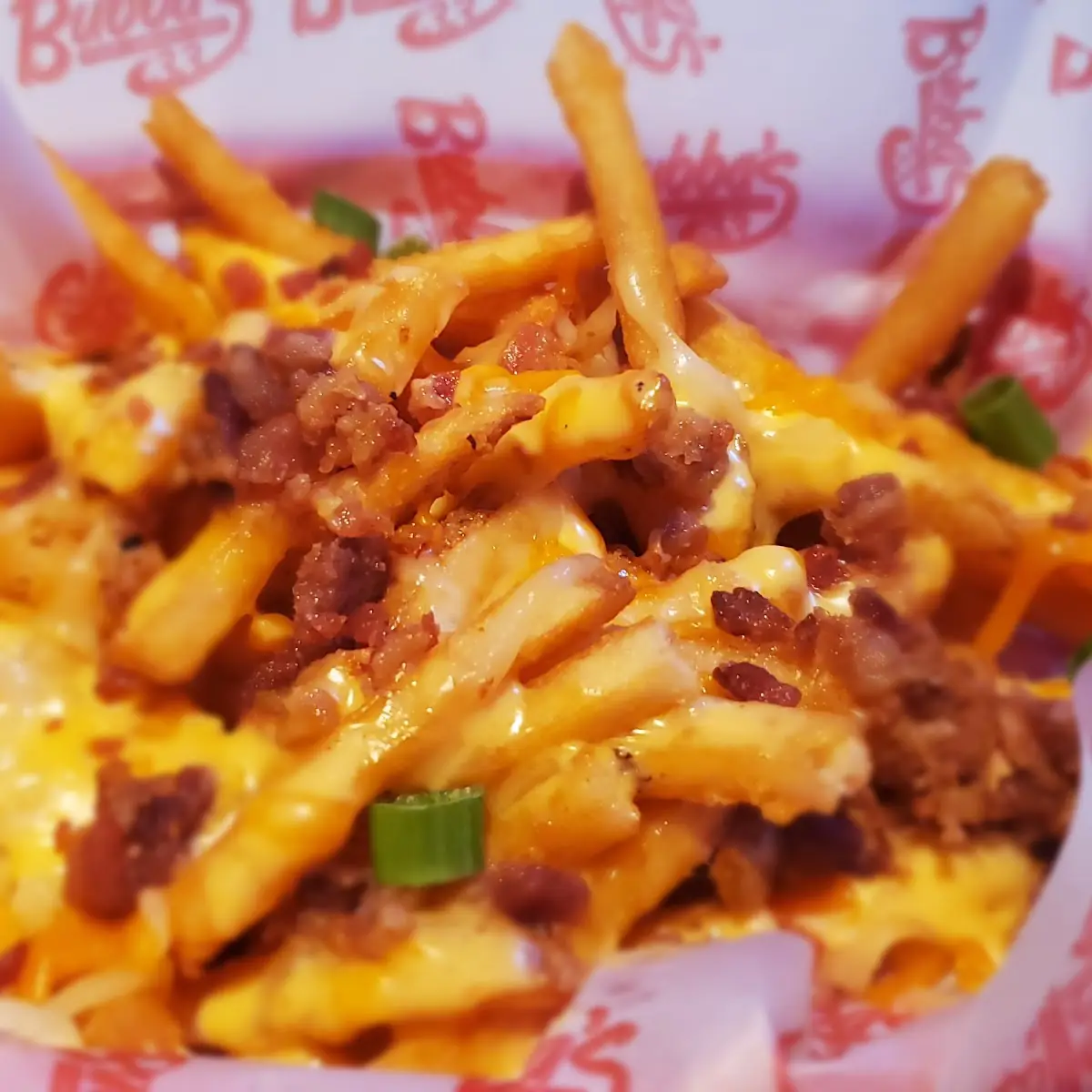 Loaded Fries