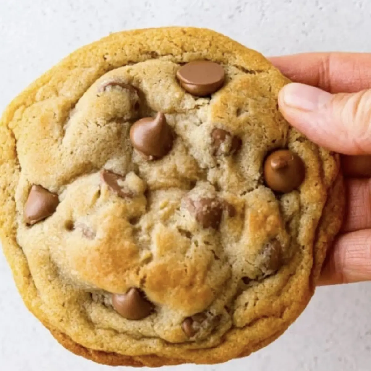 Milk Chocolate Chip
