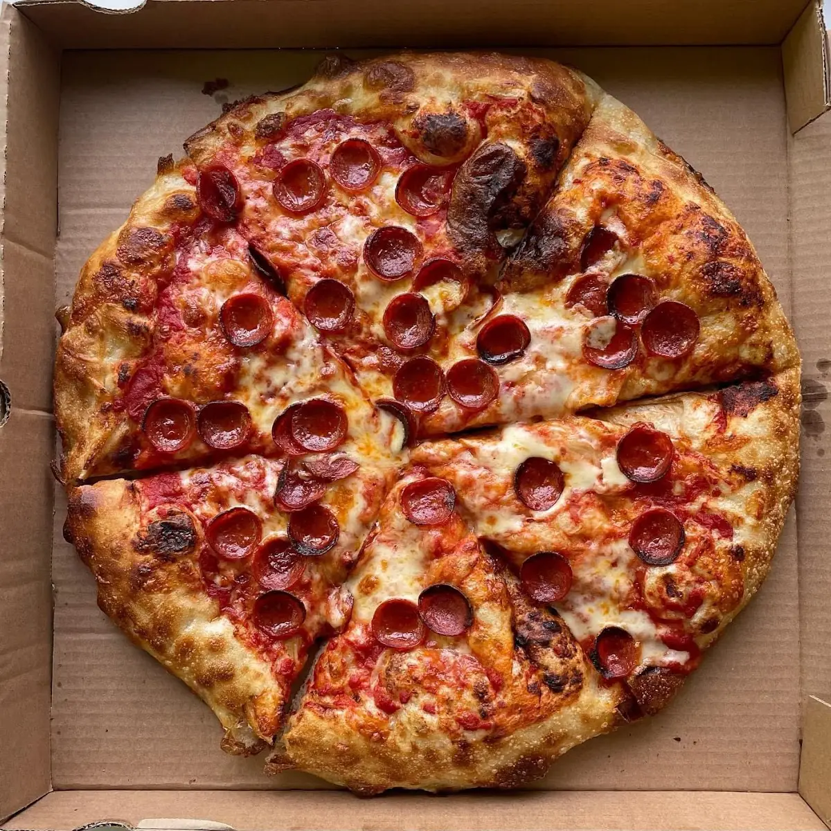 Cheese and Pepperoni Pizza