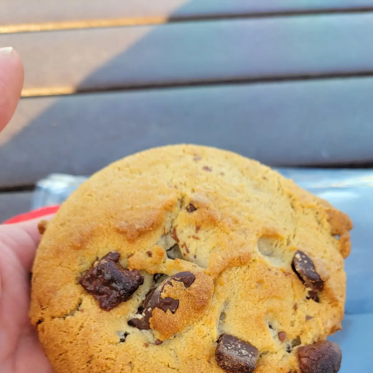 Chocolate Chip Cookie