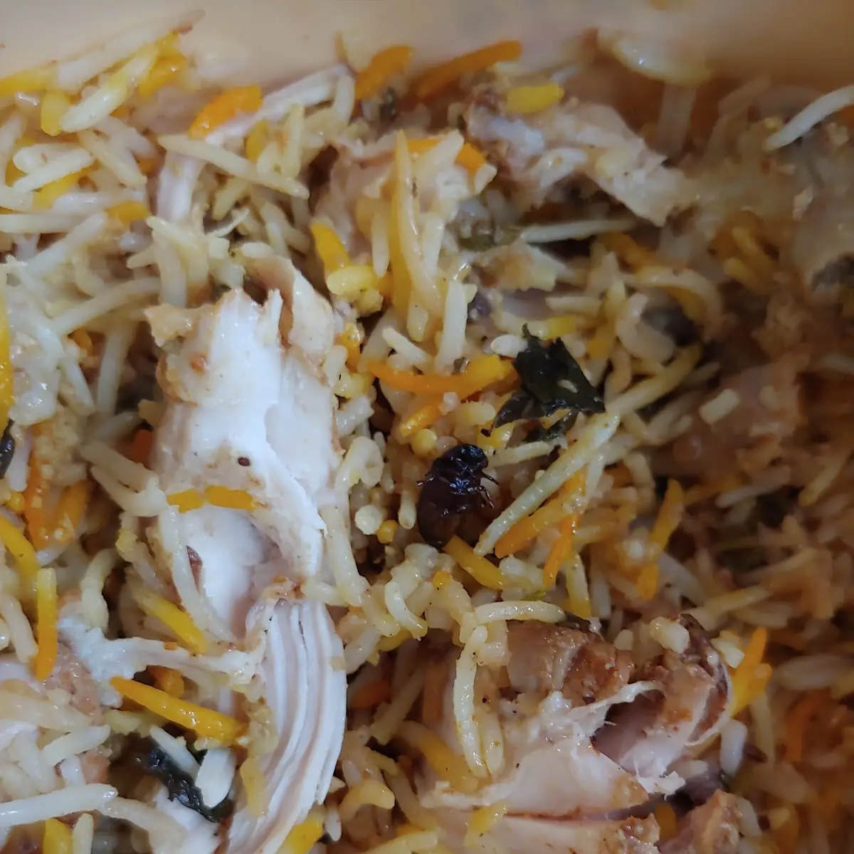 Chicken Biryani