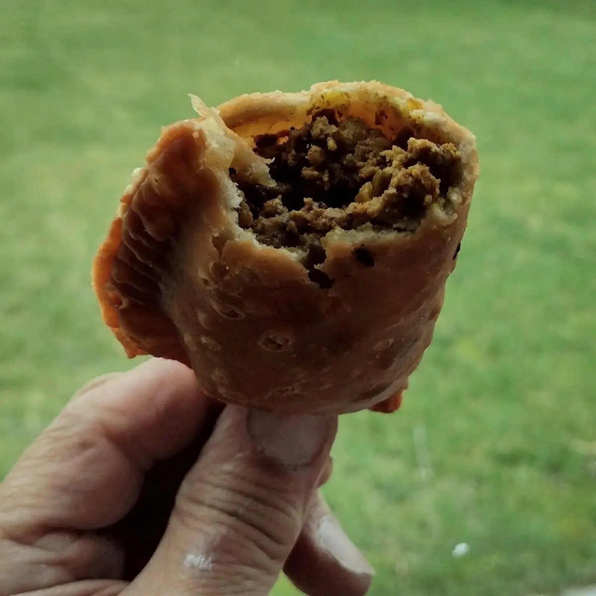 Beef Empanadas