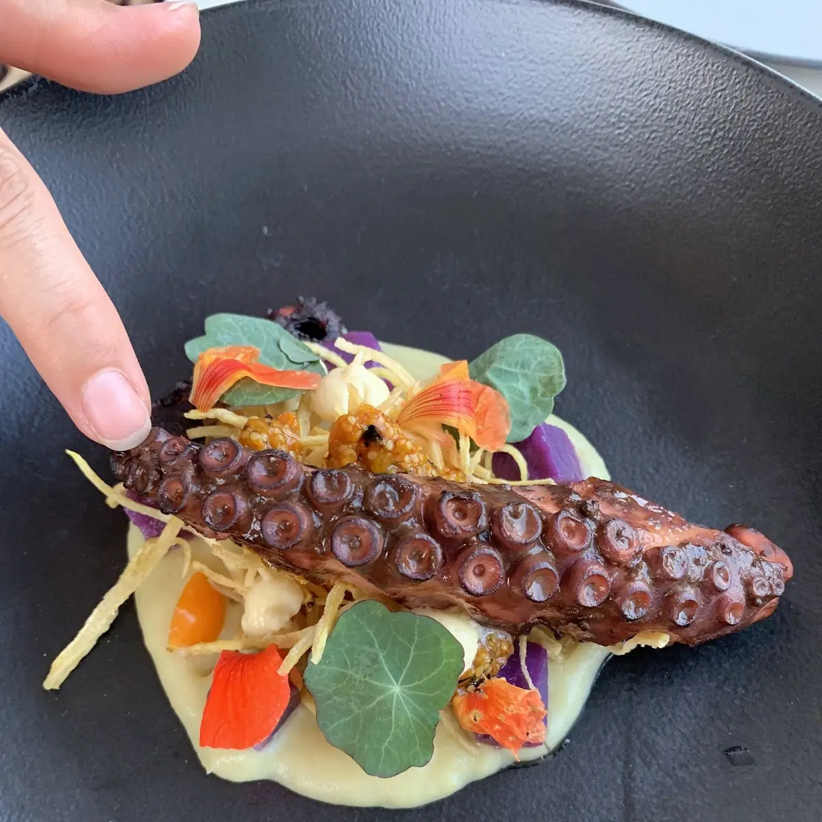 Grilled Octopus