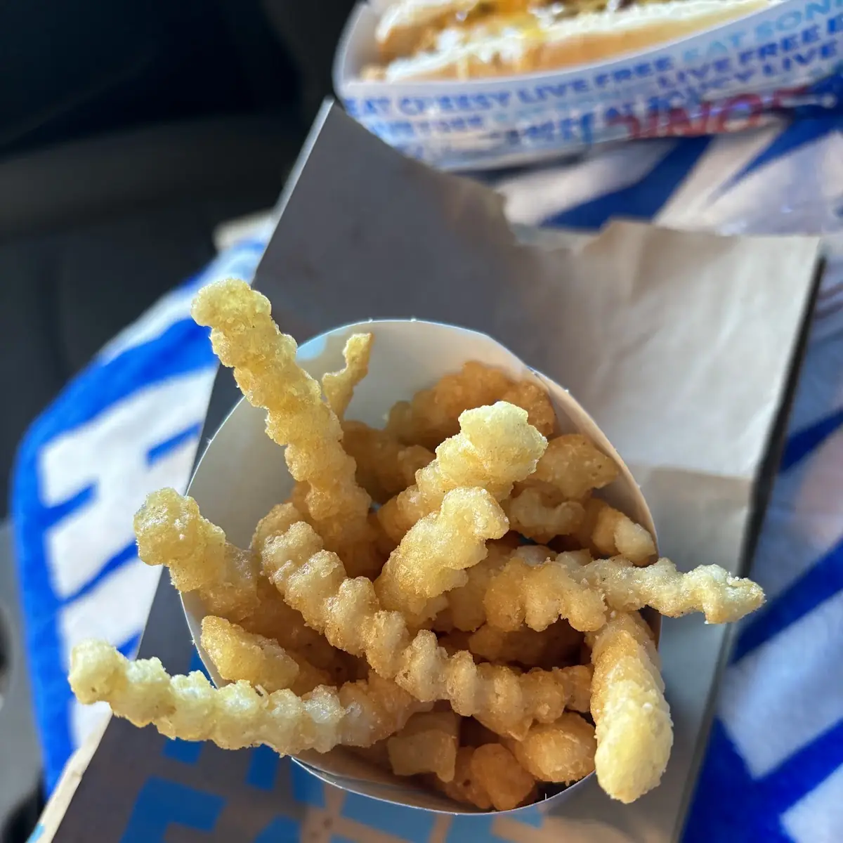 Crinkle Cut Fries