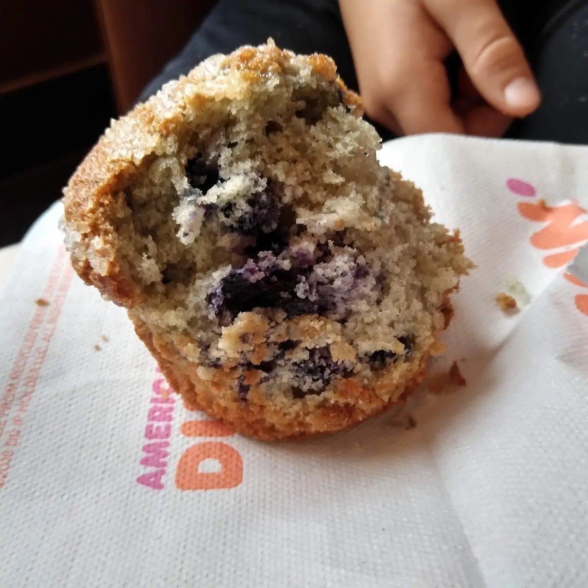 Blueberry Muffin