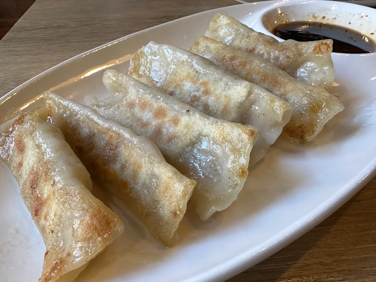 Pan Fried Dumplings, Sophie's Noodle House