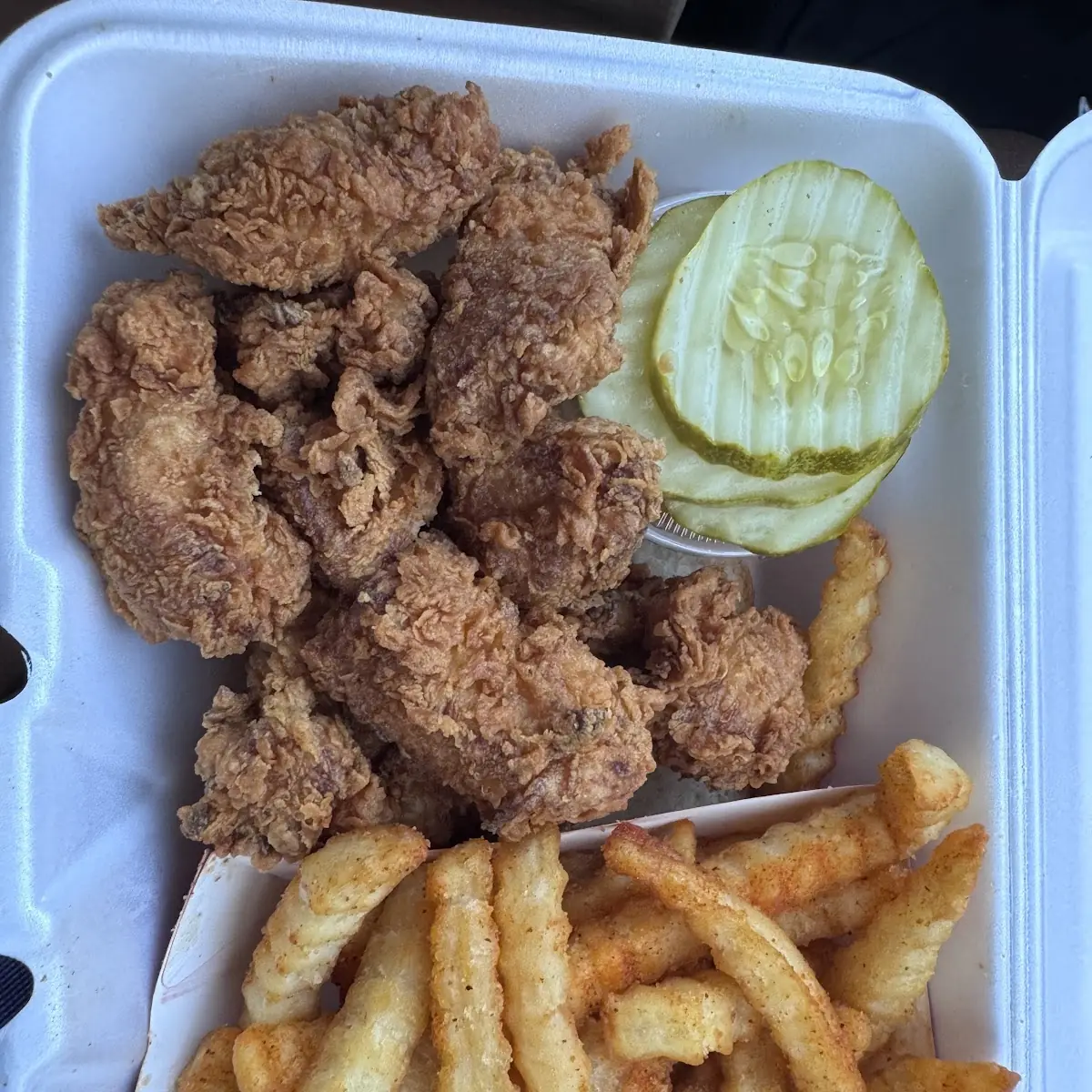 Crispy Chicken Tenders with Fries